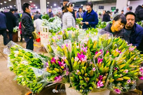 云南昆明斗南花卉市场销量异常火爆，为何它能成为亚洲最大的鲜花交易市场？